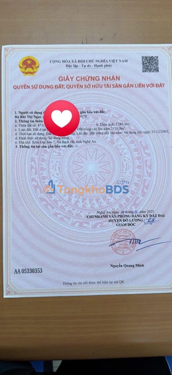 Đất Nền 2289m² Đô Lương, Nghệ An - Lô Góc Kinh Doanh, Phân Lô Tiềm Năng