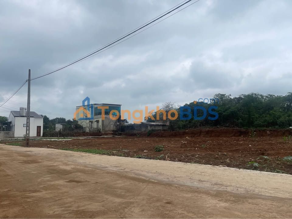 Bán đất đấu giá Xóm Bắc Ninh, Thái Hòa 182m² - Gần Quốc lộ 48D