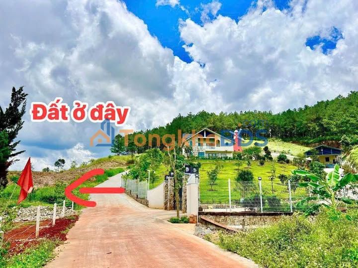 Đất nghỉ dưỡng 550m² Lâm Hà - View đồi thoáng mát, giá tốt