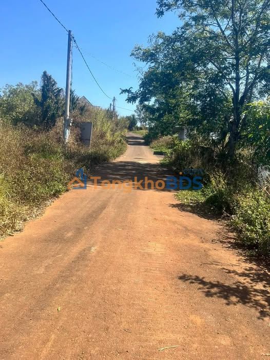 Đất Vườn Lâm Đồng 10800m² - Giá Tốt Đầu Tư 1.35 Tỷ