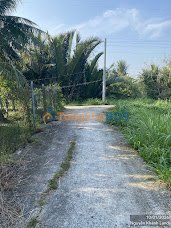 Bán Đất Vườn Bến Tre 1200m² - Giá Tốt, Sẵn Sổ Hồng