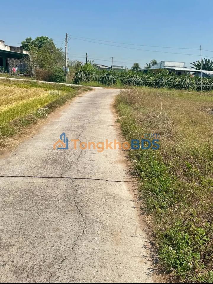 Bán Đất 100m² Mặt Tiền Bê Tông - Sổ Đỏ Chính Chủ P.An Phú, TP.Thủ Đức