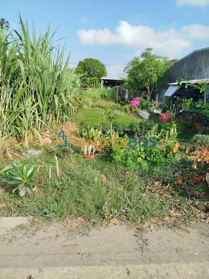 Đất Phường 9 Trà Vinh 176m² 1,7 tỷ - Sổ đỏ chính chủ