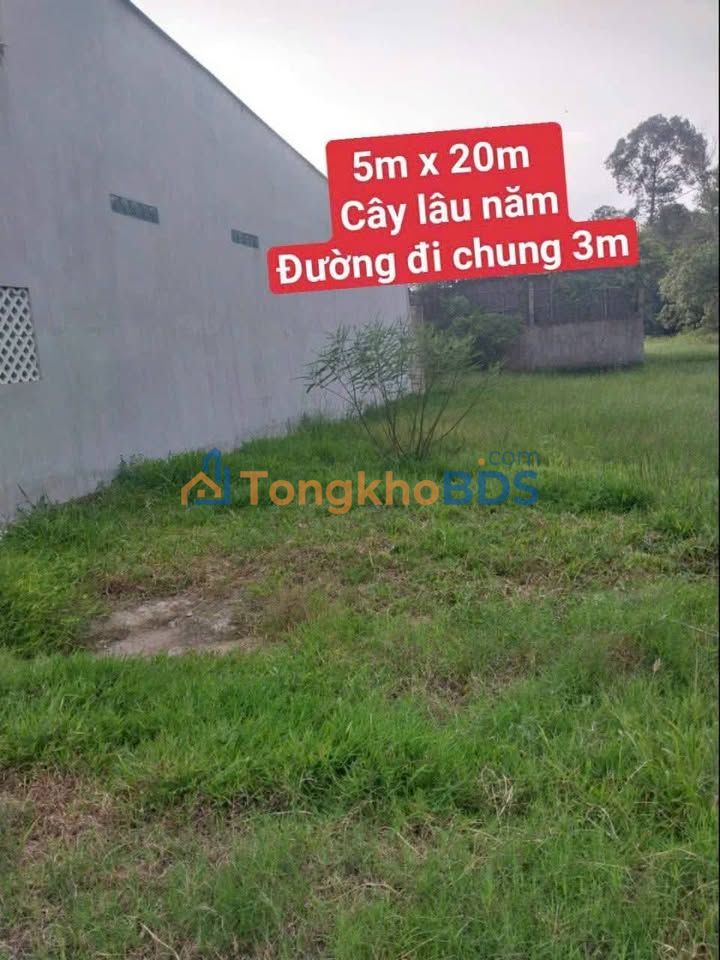 Bán đất 100m² Phường 9, Vĩnh Long - Sổ đỏ rõ ràng, gần Bến xe Tầm Phương