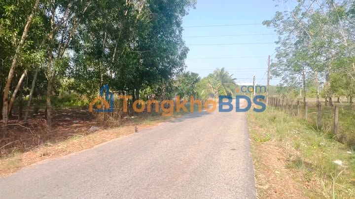 Farm Dầu Tiếng 1.829m² giá 2 tỷ - Sổ đỏ chính chủ