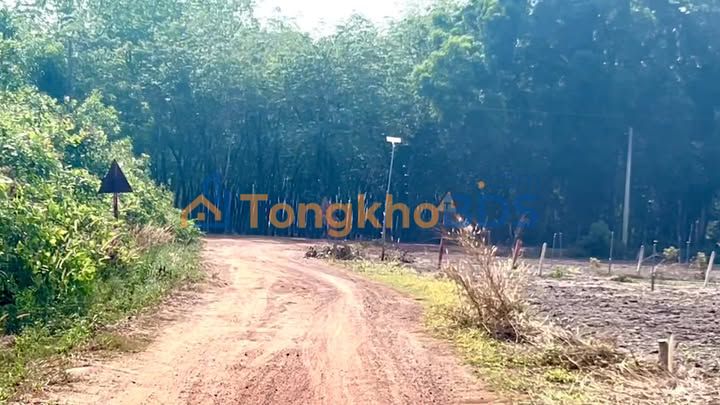 Đất nền Định An, Bình Dương 1060m² sổ hồng - Giá chỉ từ 9xx triệu