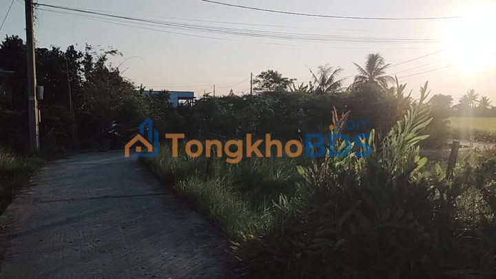 Đất thổ 116m² đường ô tô, Tân Trụ Long An - Chỉ 315 triệu