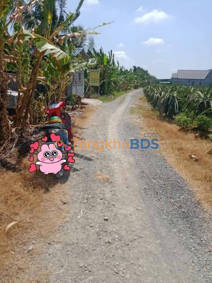 Đất Vườn 1000m² Đồng Tháp - Giá 750 Triệu, Đường Xe Tải