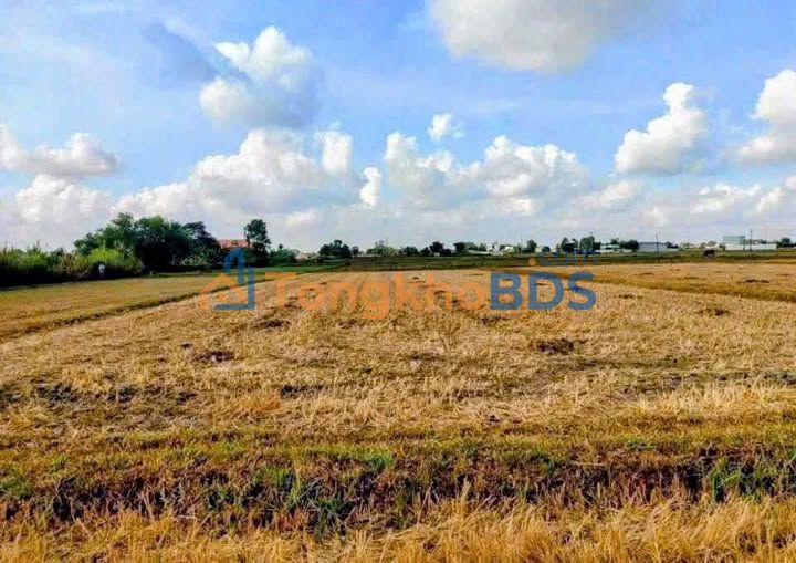 Đất Vườn Sổ Hồng Riêng Đức Hòa 2.25 Tỷ - Mặt Tiền Kênh Phước Hòa