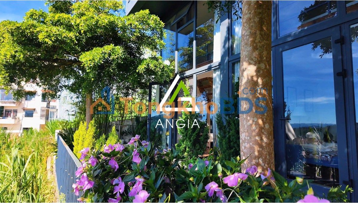 Biệt thự Khe Sanh P10 Đà Lạt 200m² 20 tỷ Sẵn sàng ở ngay