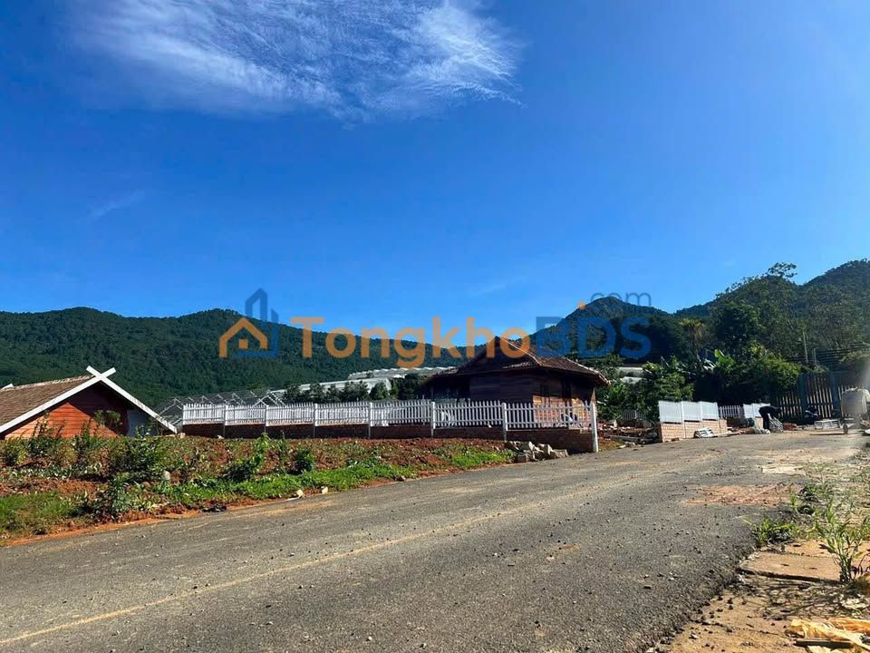 Đất Lạc Dương Đà Lạt 207m² Sổ Riêng - View Đỉnh Cao, Giá 5 Tỷ