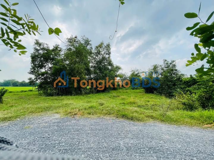 Đất Thổ Cư 844.6m² Xã An Ninh, Đức Hòa - Giá 1.8 Tỷ Chính Chủ