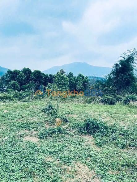 Đất nền Ba Vì 5500m² - Sổ đỏ sẵn sàng, tiềm năng đầu tư sinh lời