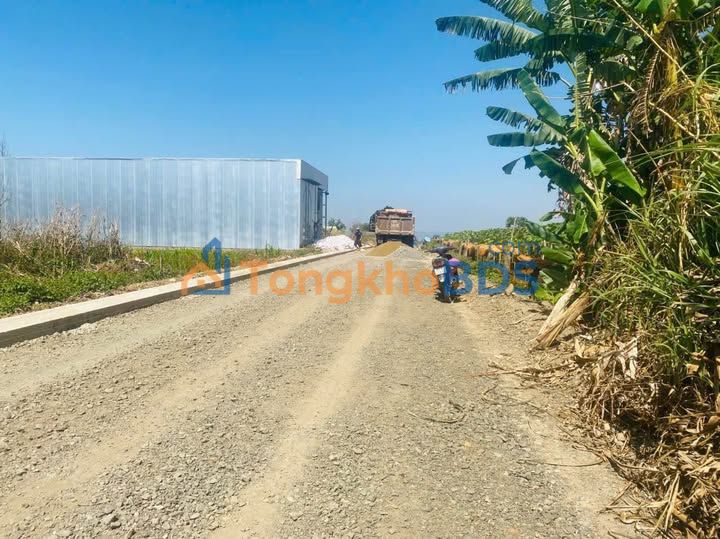 Đất nền Phú Hội Đức Trọng 120-130m² 1,55 tỷ - Sổ đỏ chính chủ