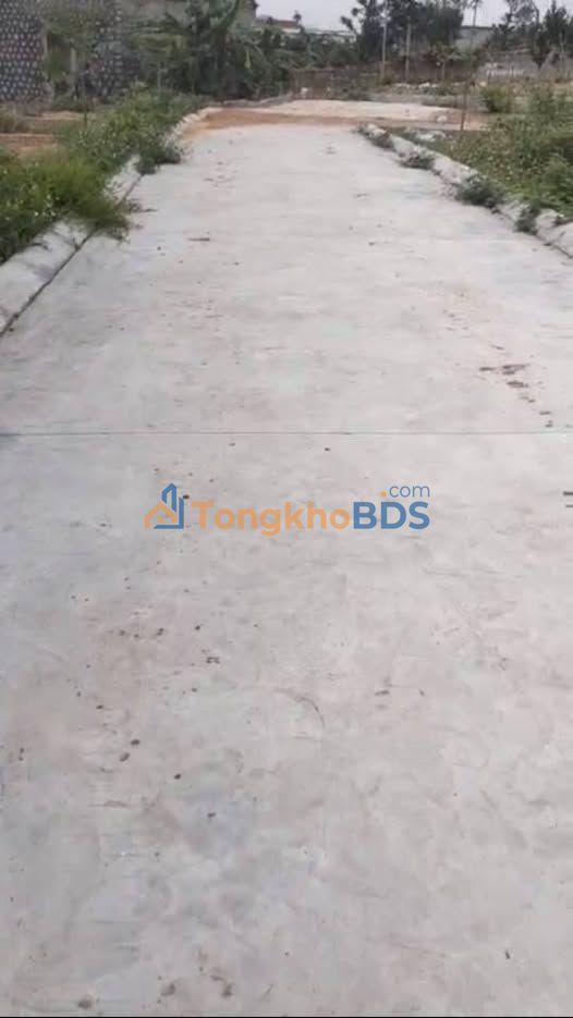 Đất Thủy Nguyên 65.7m² Giá 300 Triệu - Sổ Hồng Chính Chủ