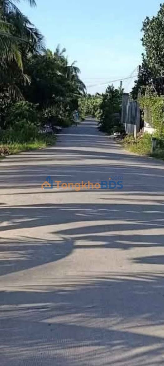 Bán Đất Mặt Tiền Đường 2600m² Tại Ba Tri, Bến Tre - Giá Tốt Đầu Tư