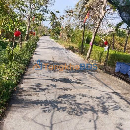 Bán Nền 300m² Mặt Tiền Đường Đan 5m, Giồng Trôm, Bến Tre - Giá 750 Triệu