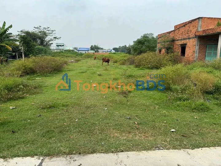 Bán Gấp Đất Vườn 320m² Sổ Hồng Thổ Cư, Đức Hòa Long An - Giá 1.65 Tỷ