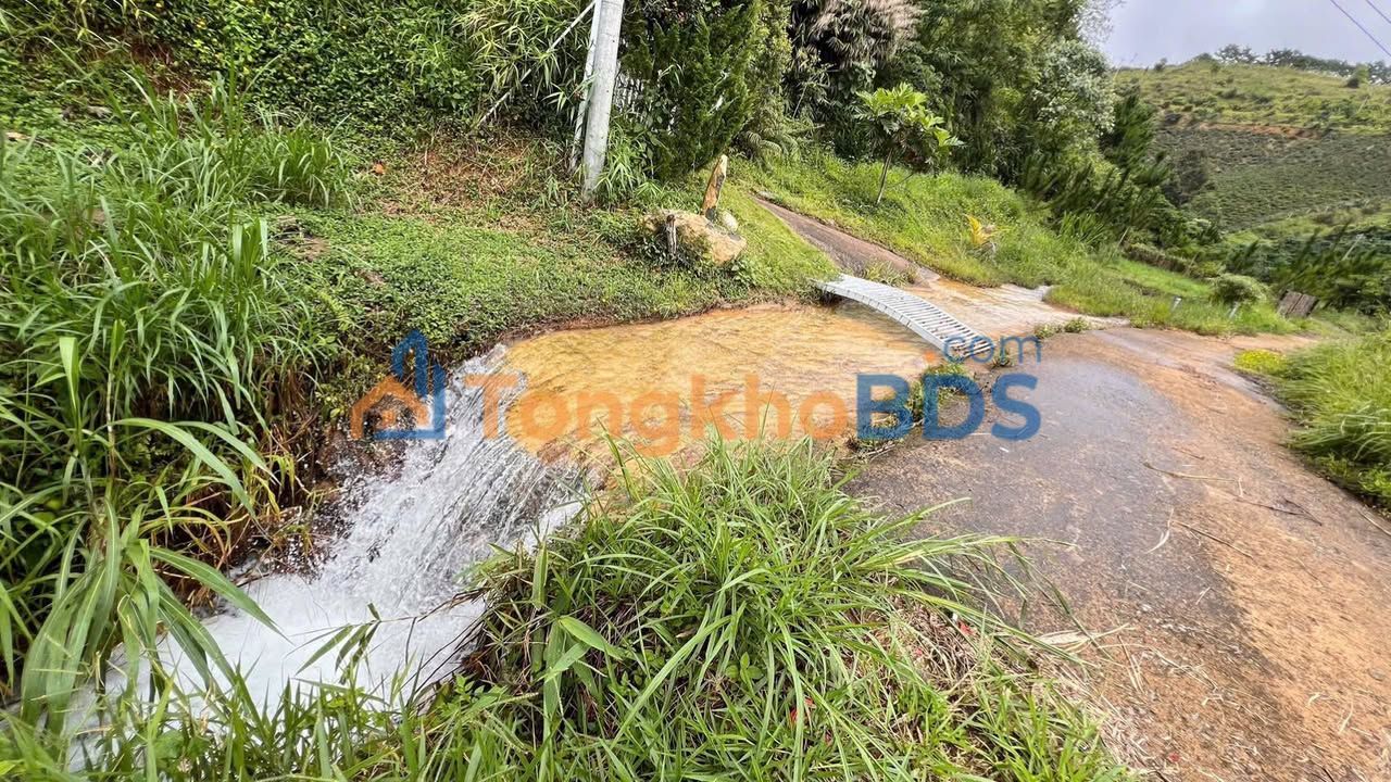 Farm Nghỉ Dưỡng 3000m² Bảo Lộc - Sổ Hồng Riêng, View Suối Chill