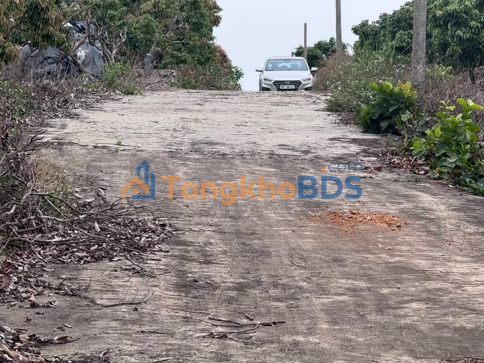 Bán Đất Vườn Bắc Giang 11000m² Giá Tốt - Sổ Đỏ Thổ Cư