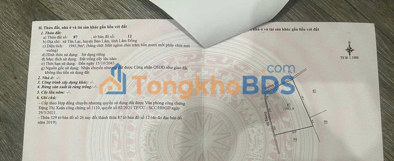 Đất Nền 2600m² Mặt Tiền Đường Nhựa Tân Lạc, Di Linh - Sổ Hồng Sẵn Sàng