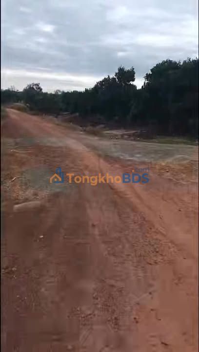 Đất Nền Tân Đông, Tây Ninh - 38.000m² Trồng Trái Cây Xuất Khẩu, Giá 5.7 Tỷ