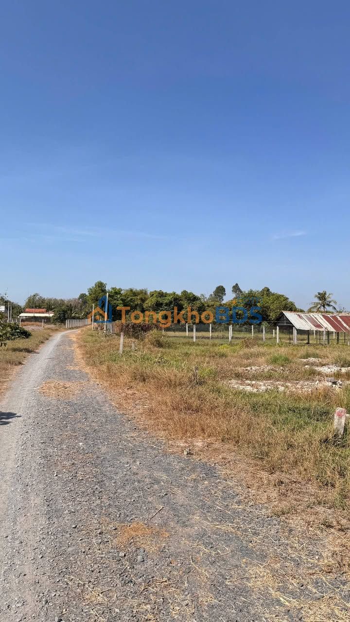 Đất Vườn Lập, Bến Cầu, Tây Ninh - 1875m² Giá Chỉ 750 Triệu