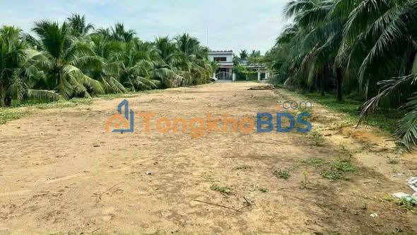 Đất Mặt Tiền Lộ Nhựa Bến Tre 1000m² - Giá F0 Chỉ 4.5 Tỷ