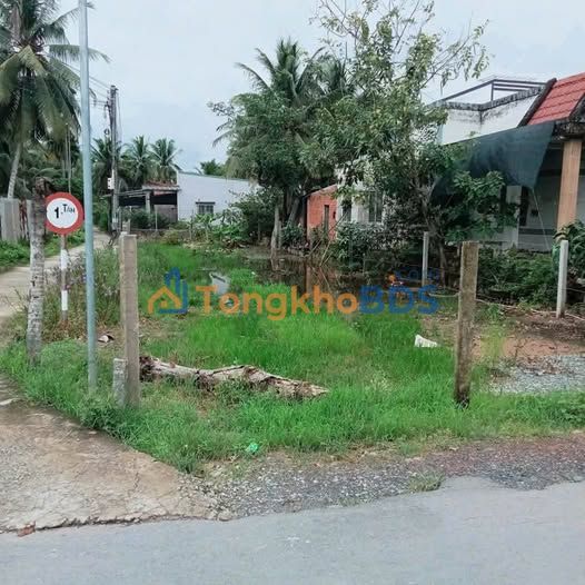 Đất Mặt Tiền Lộ Nhựa 346m² Full Thổ Cư, Sổ Hồng Riêng Tại Mỏ Cày Bắc, Bến Tre - Giá Đầu Tư 1.4 Tỷ