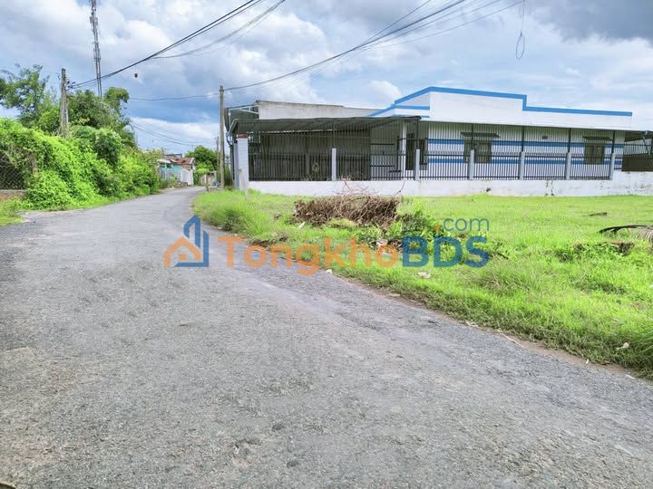 Đất Mặt Tiền Phú Hưng, Bến Tre - 123.8m² Giá 980 Triệu