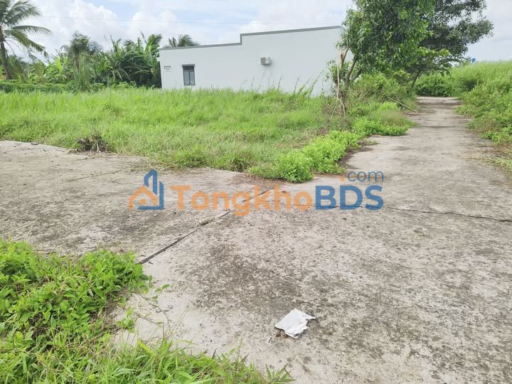 Đất Nền Phú Tân, Bến Tre - 359m² Giá 970 Triệu, Hẻm Xe Hơi