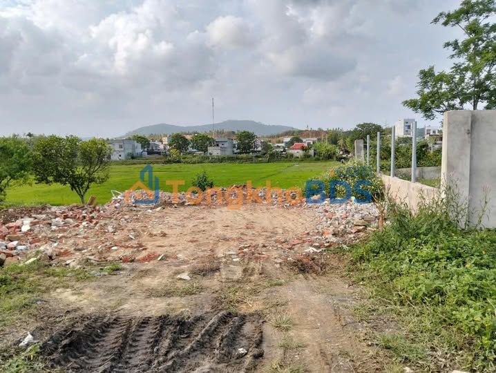 Đất Mặt Tiền Thăng Long - Cẩm Lệ 238m² - Sổ Đỏ Sẵn Sàng