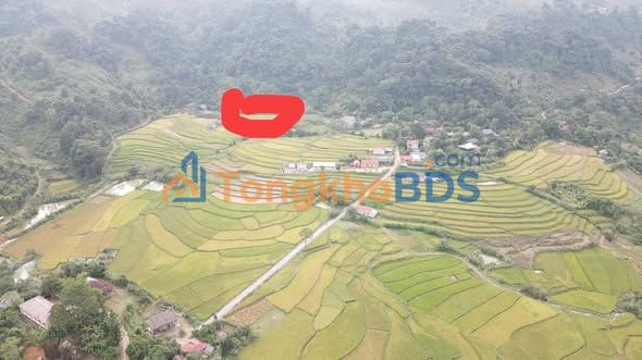 Đất Nền Mộc Châu 1420m² - Sổ Hồng Sẵn Sàng Công Chứng