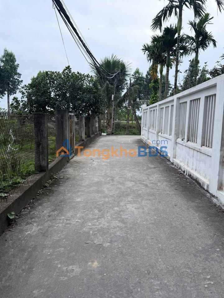 Đất nền Gia Lộc 100m² giá 1 tỷ - Sổ đỏ chính chủ