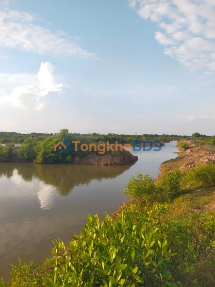 Cho thuê 50.000m² đất Vĩnh Long - Lộ nhựa, điện 3 pha, giá 160 triệu/năm