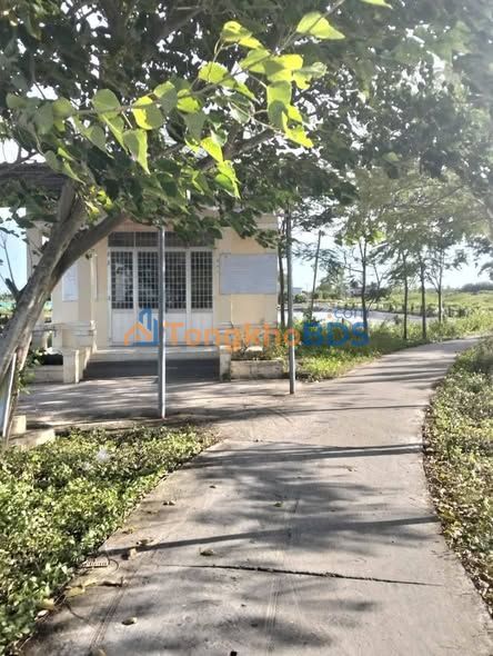 Đất Farm 41.000m² Tỉnh Trà Vinh - Sổ Đỏ Chính Chủ, Giá Đầu Tư Hấp Dẫn