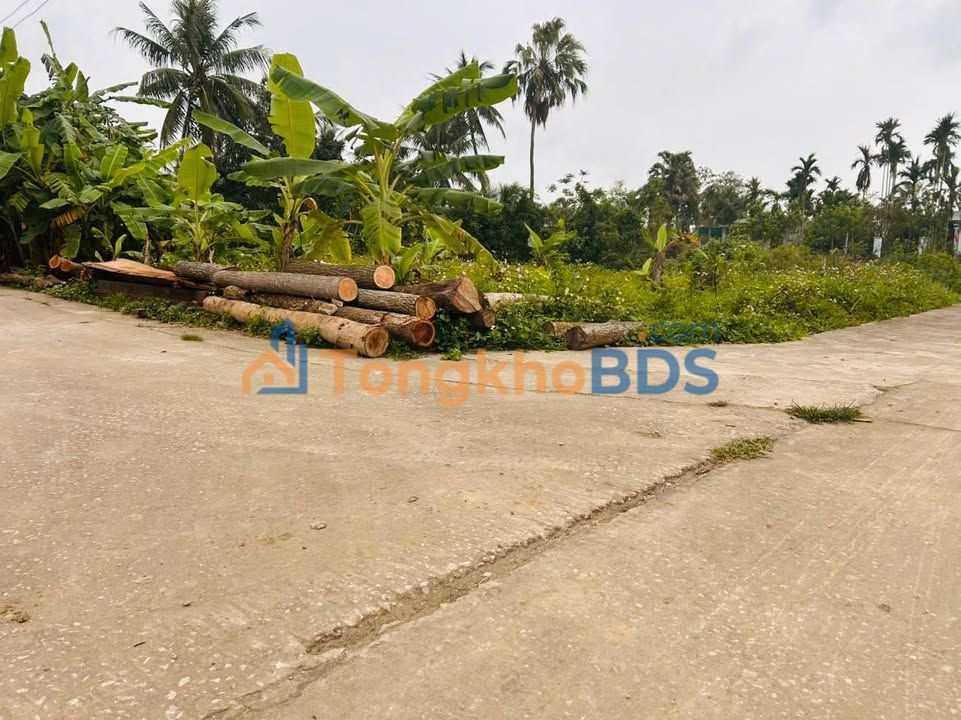 Đất Nông Cống 1000m² - Vuông vắn, 2 mặt tiền, giá chỉ 1.2 tỷ