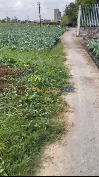 Đất nền Tân Đông Gò Công Đông 144m² 190tr - Sổ đỏ