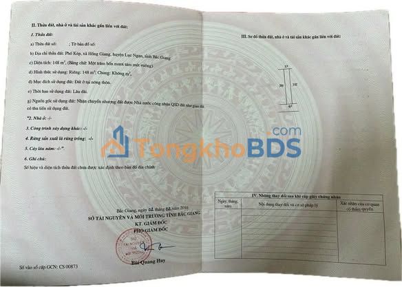 Đất Mặt Tiền QL31, Lục Ngạn, Bắc Giang - 148m² Kinh Doanh Đỉnh Cao