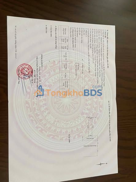 Đất nền Hoằng Hóa, Thanh Hóa 125m² - Sẵn sàng đầu tư sinh lời