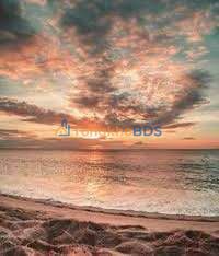 Cho thuê 16 căn hộ Ngũ Hành Sơn, Đà Nẵng - Dòng tiền 50 triệu/tháng