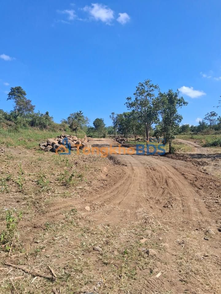 Đất nền Thôn 4 Cư Êbur BMT 3.3ha - Sổ đỏ chính chủ