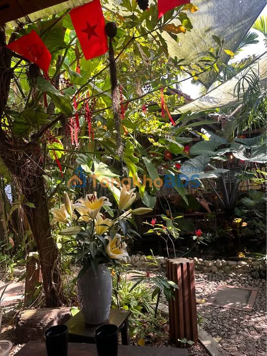 Đất nền Tịnh Hà, Quảng Ngãi 101m² full thổ cư - Giá F0 chỉ 400 triệu