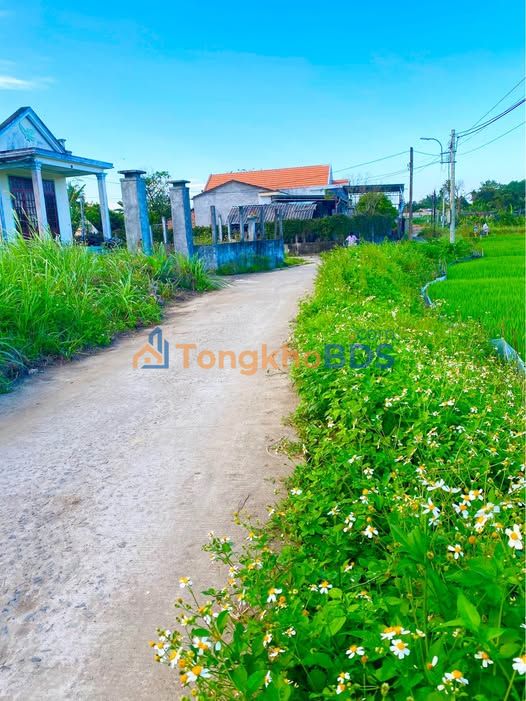 Đất Vườn Tịnh Khê 390m² - Gần Biển Mỹ Khê, Giá 1.15 Tỷ