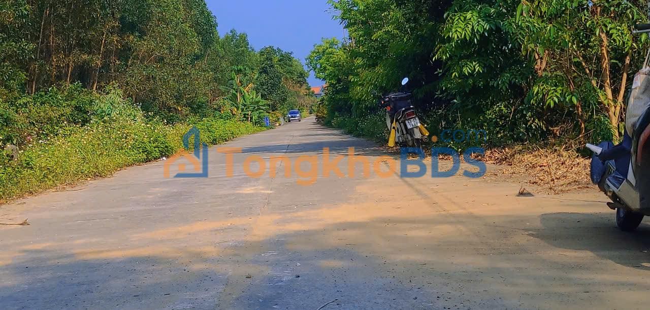 Bán Đất Mặt Tiền Đường BT Hòa Vang 148m² - Sổ Đỏ Rõ Ràng