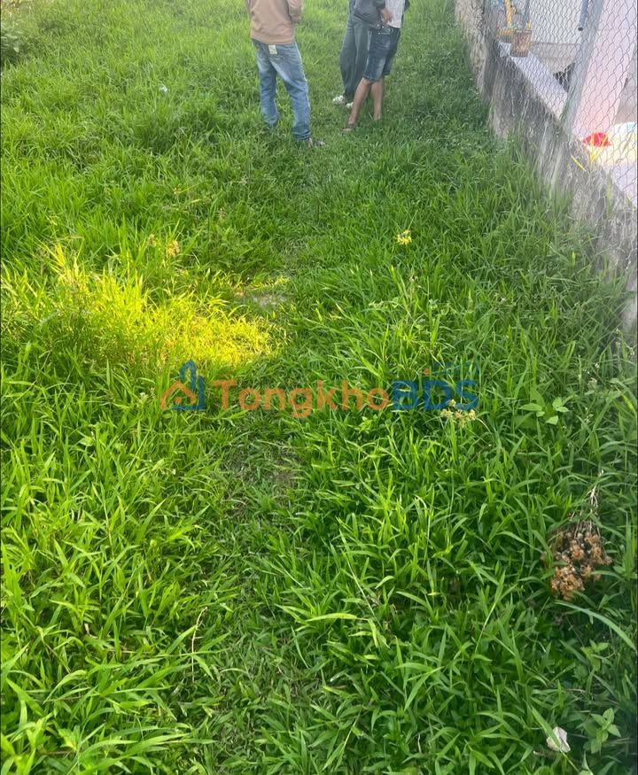 Đất nền Cẩm Nam Hội An 88m² - Sổ đỏ sẵn sàng, giá chỉ 6xx triệu