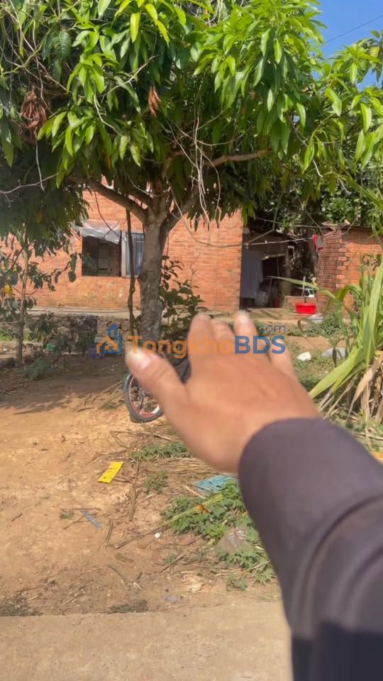 Đất Nền Đắk Nông 504m² Giá 420 Triệu - Lô Đẹp Đầu Tư/An Cư