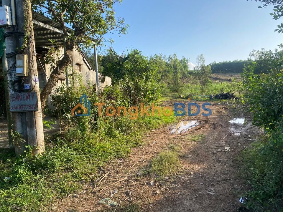 Đất nền QL29 Đông Hòa 300m² - Sổ đỏ chính chủ kinh doanh