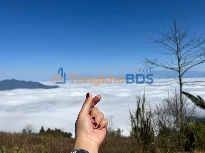 Đất nền Y Tý 9000m² view triệu đô - Sổ đỏ sẵn sàng giao dịch