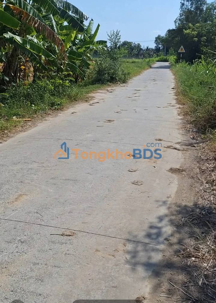 Đất nền Ba Tri, Bến Tre 1800m² - Sổ đỏ sẵn sàng, giá 2.25 tỷ